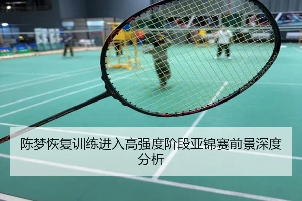 陈梦恢复训练进入高强度阶段亚锦赛前景深度分析