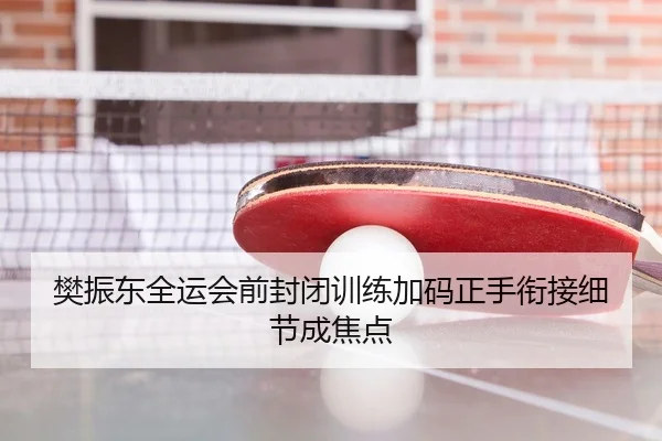 樊振东全运会前封闭训练加码正手衔接细节成焦点